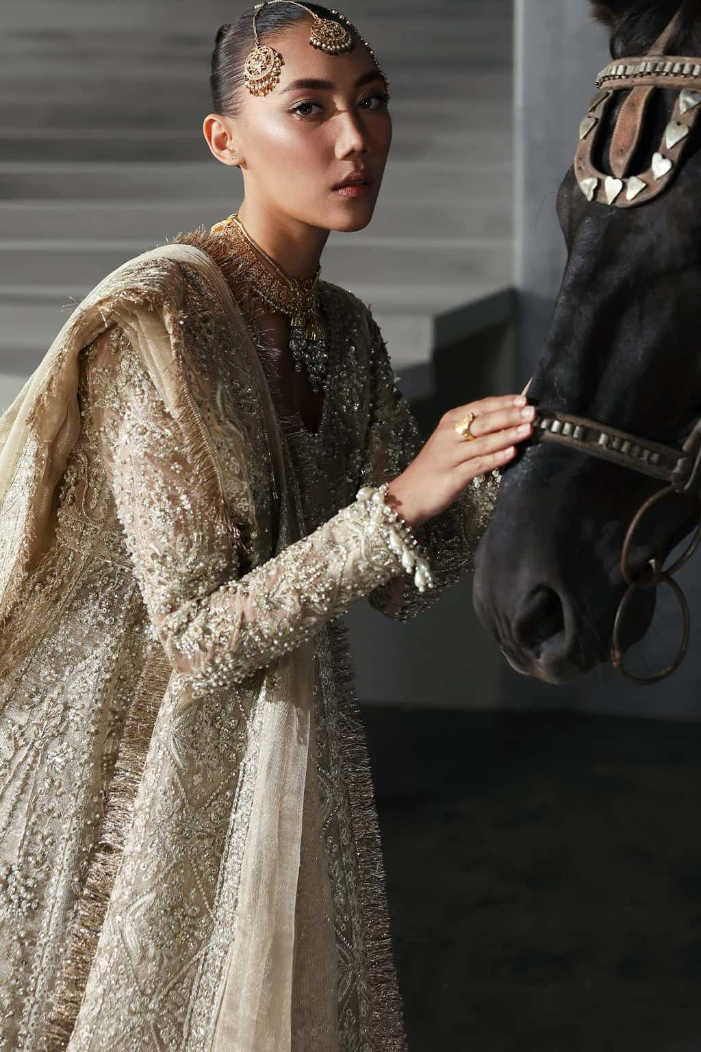 Elegant khaddi net suit featuring hand-embellished panels, embroidered dupatta with four-side border, and jamavar trouser for a timeless festive look.