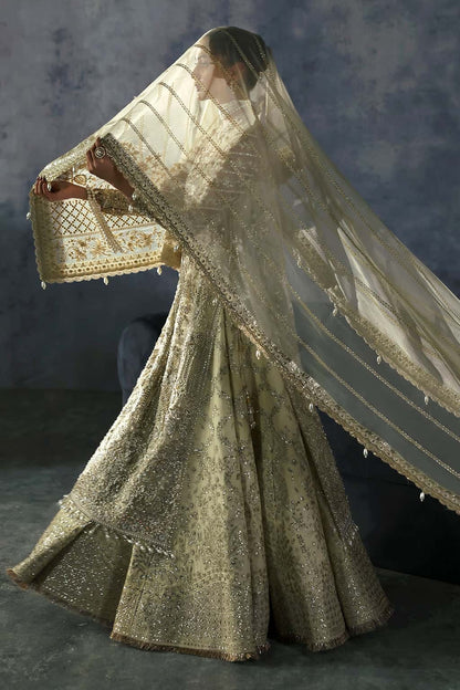 Luxurious organza suit with hand-embellished embroidery, ornate dupatta borders, and embroidered raw silk trouser — perfect for festive elegance.