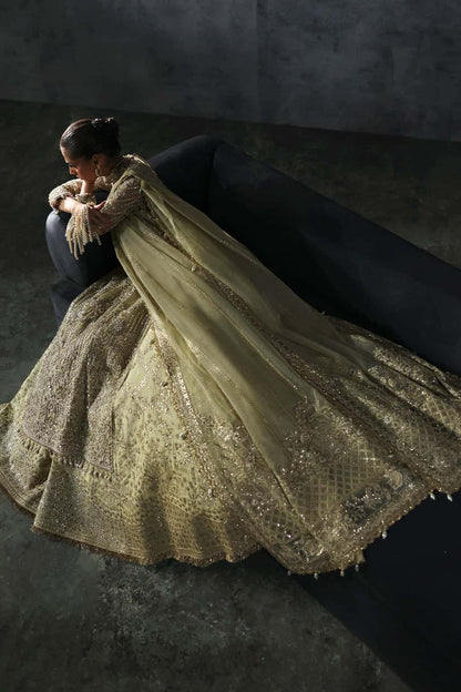 Luxurious organza suit with hand-embellished embroidery, ornate dupatta borders, and embroidered raw silk trouser — perfect for festive elegance.