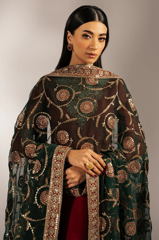 UC-3074 features embroidered chiffon yoke, dupatta, and borders with dyed chiffon panels and rawsilk bottom. A perfect pick for graceful, formal occasions.