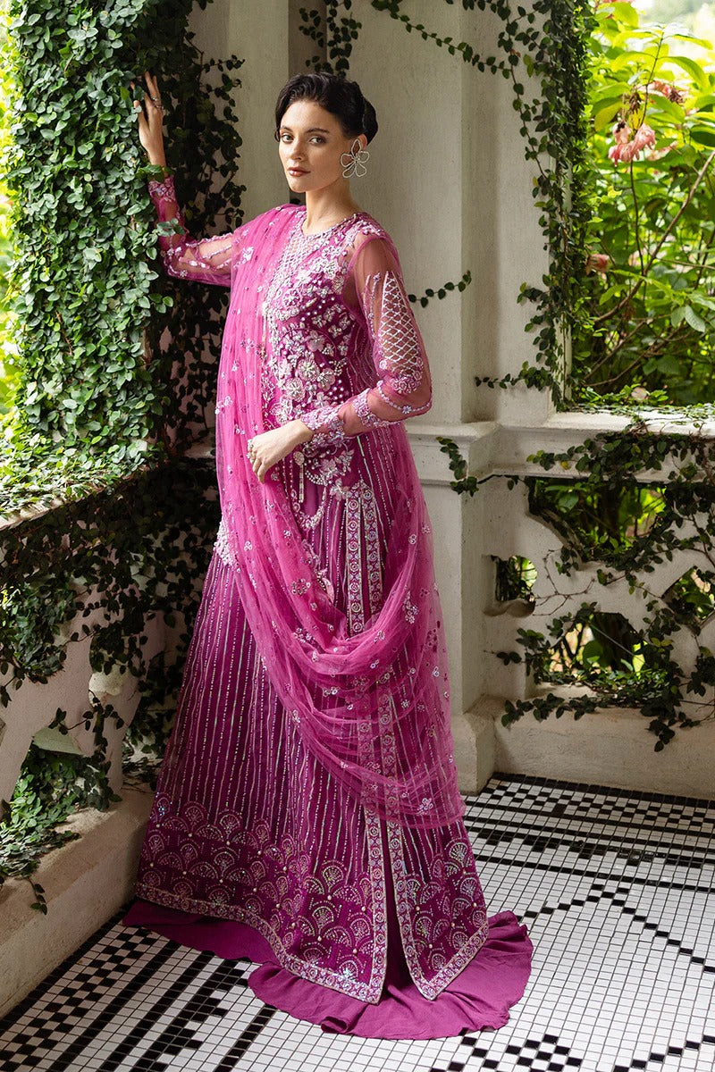 Graceful blush pink dress with embroidered net shirt, sequined dupatta, raw silk trouser, pearl-detailed daman border, and handmade tassels.