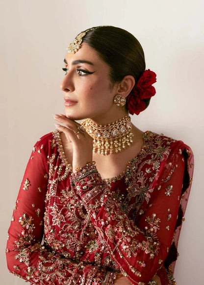 Regal crimson lehenga with hand-embellished panels, ornate borders, embroidered dupatta, and net body—perfect for festive and wedding elegance.