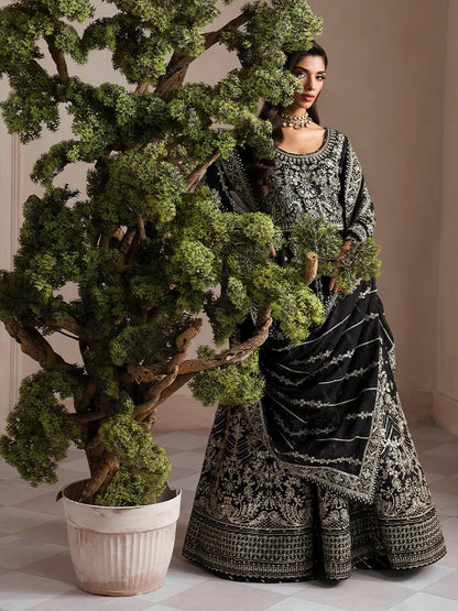 Elegant embroidered and sequined raw silk kalidaar with bodice, chiffon dupatta, and organza borders — a timeless outfit for festive and wedding wear.