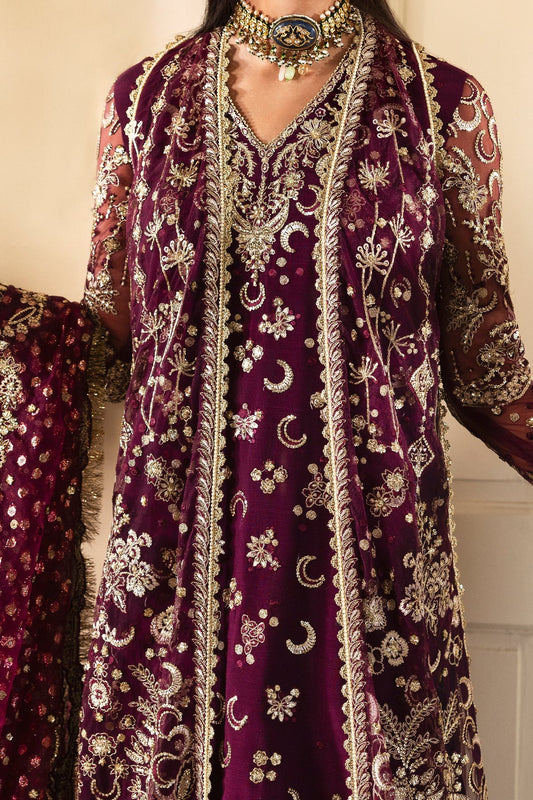 Luxurious plum ensemble featuring raw silk and net embroidery, detailed dupatta borders, and dyed trousers. A perfect pick for festive and formal wear.