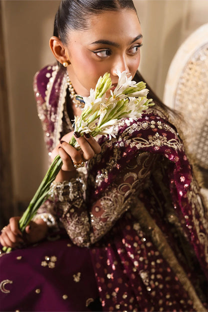 Luxurious plum ensemble featuring raw silk and net embroidery, detailed dupatta borders, and dyed trousers. A perfect pick for festive and formal wear.