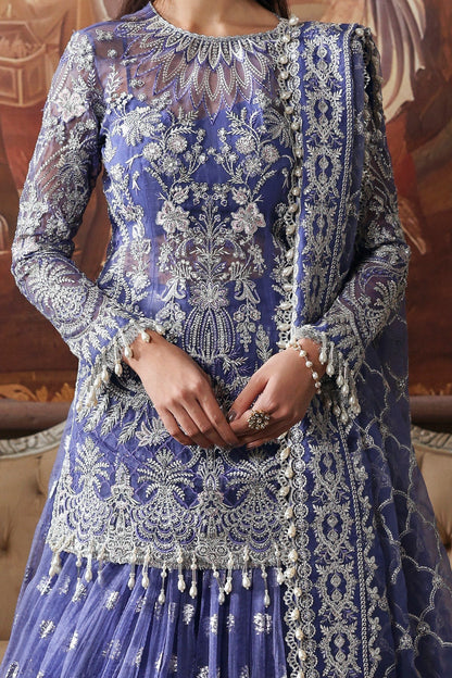 Elegant blue organza dress featuring intricate embroidery, detailed dupatta borders, and dyed trousers. A graceful pick for festive or formal events.