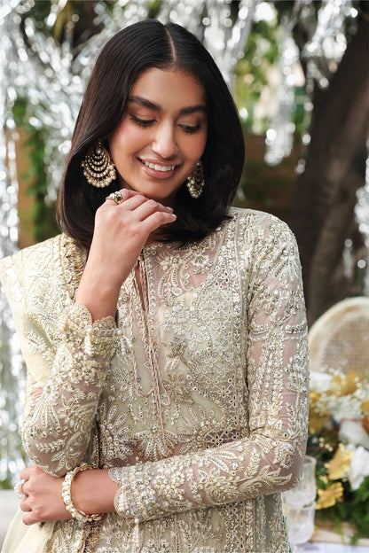 Stunning sea green and pink organza dress with rich embroidery, panels, dupattas & dyed trouser. Perfect for weddings or festive events. Premium quality.