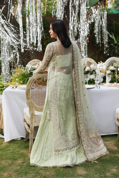 Stunning sea green and pink organza dress with rich embroidery, panels, dupattas & dyed trouser. Perfect for weddings or festive events. Premium quality.